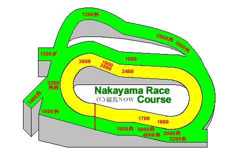 NAKAYAMA RACECOURSE